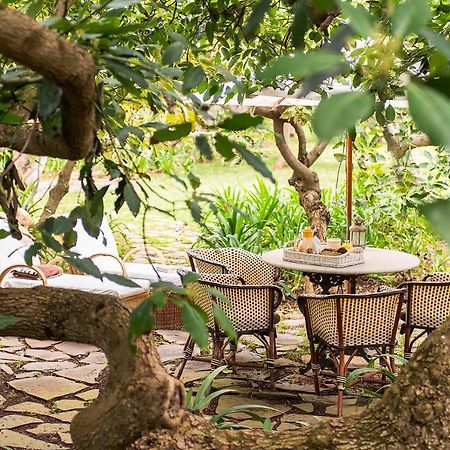 Homeforguest Cosy Rural Flat El Romero With Large Gardens Tacoronte Esterno foto