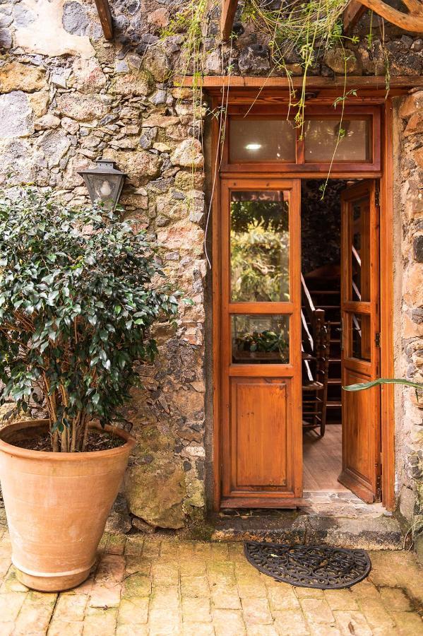 Homeforguest Cosy Rural Flat El Romero With Large Gardens Tacoronte Esterno foto