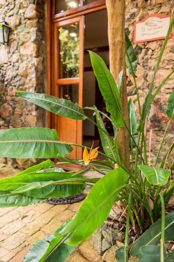 Homeforguest Cosy Rural Flat El Romero With Large Gardens Tacoronte Esterno foto
